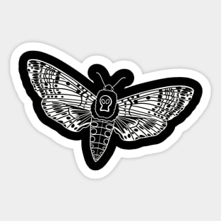 Death head moth Sticker